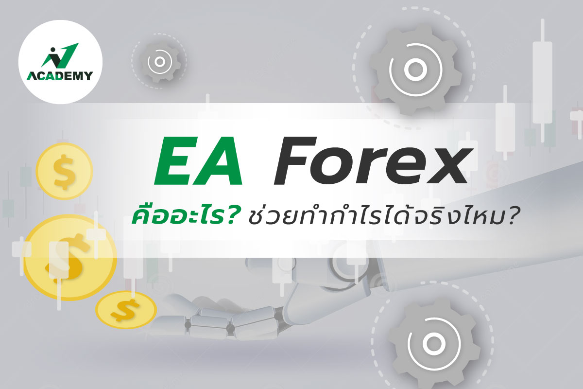 EA Forex คืออะไร? ช่วยเทรดทำกำไรได้จริงไหม?